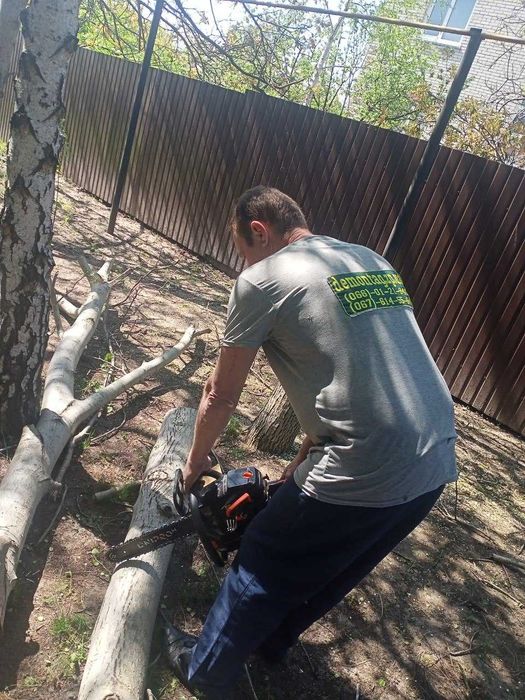 Уборка участка территории дома или дачи. Корчевание пней. Покос травы