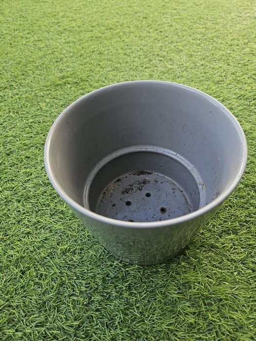 Vasos pequenos impecáveis