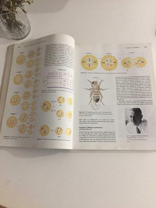 Livro Principles of Genetics64751012667651121