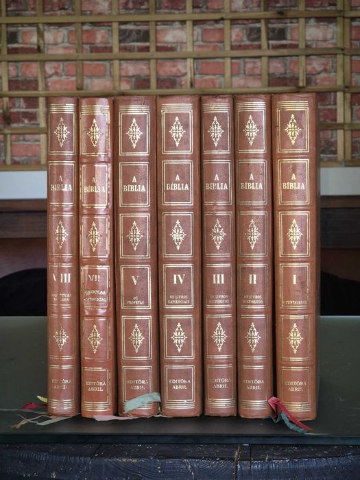 A Bíblia Sagrada (ilustrada e retalhada a ouro)