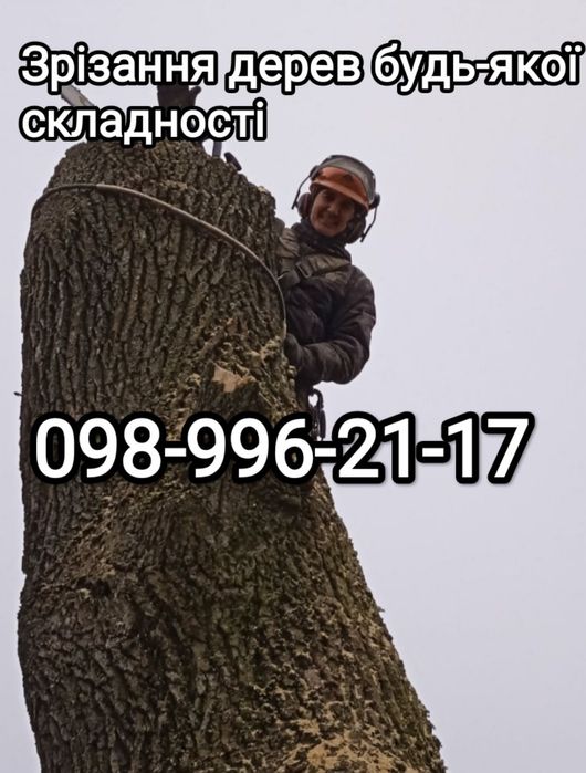 Зрізання аварійних дерев.Порізка на дрова .Подрібнення гілля.