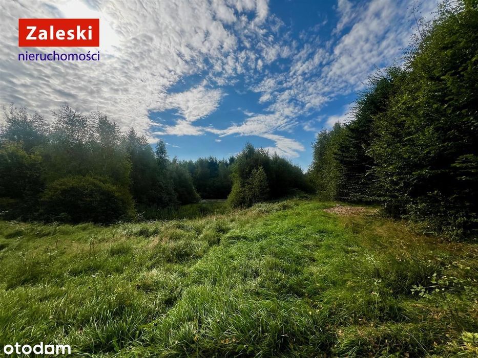 Działka pod agroturystykę lub własną oazę spokoju.