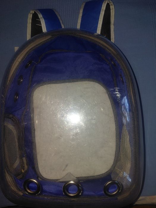 Рюкзак-переноска для котів чи невеликих тваринок.