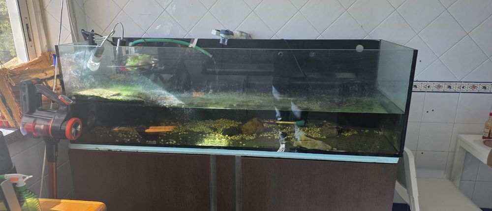 Aquario de 165cms com movel e Sump