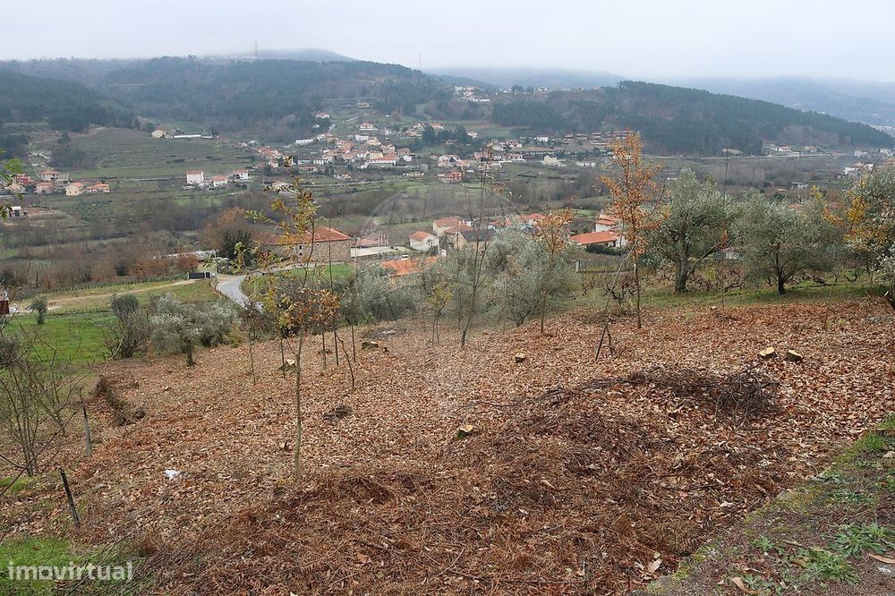 Terreno  para venda