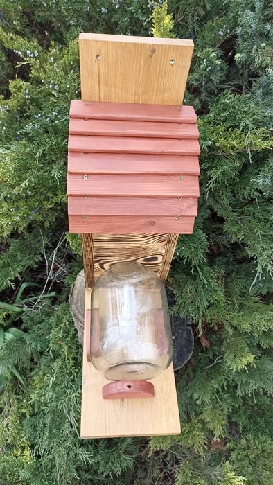 Годівниця для білки