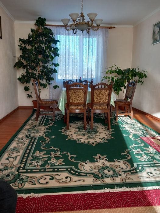 Кавове дерево гарно плодоносить