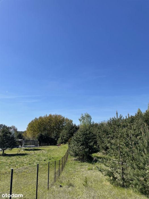 399k do 15.07! Rezydencjonalne 3273 m² | Grzebienisko | Las - Widok 4