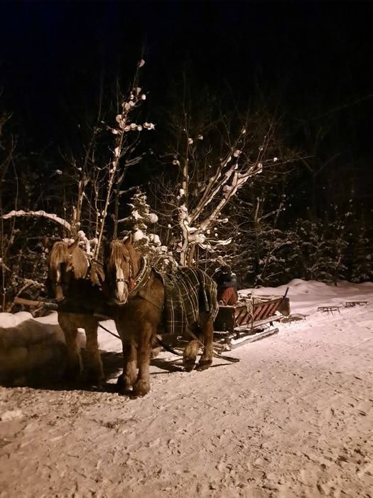 Kuligi, przejażdżki