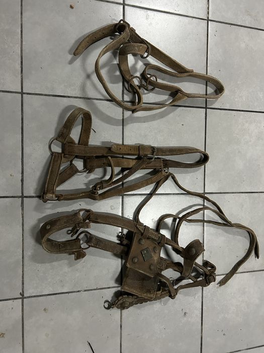 Cabeçadas de cavalo