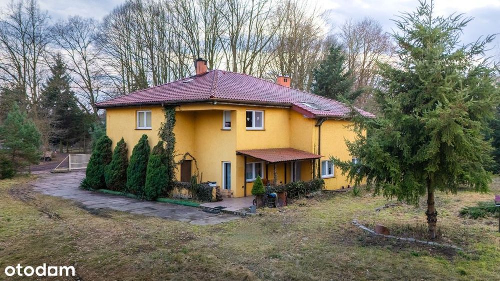Przestronny dom z dużą działką – Dębostrów