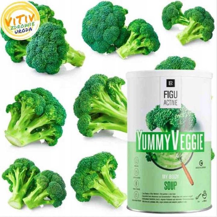 LR FIGUACTIVE Yummy Veggie Soup - zupa warzywna