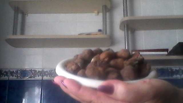 Керамзит для растений