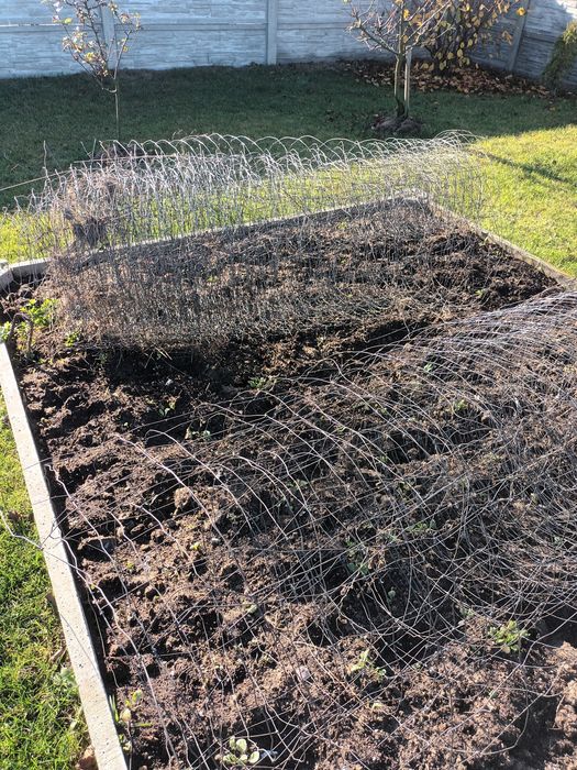 Siatka Leśna po demontażu