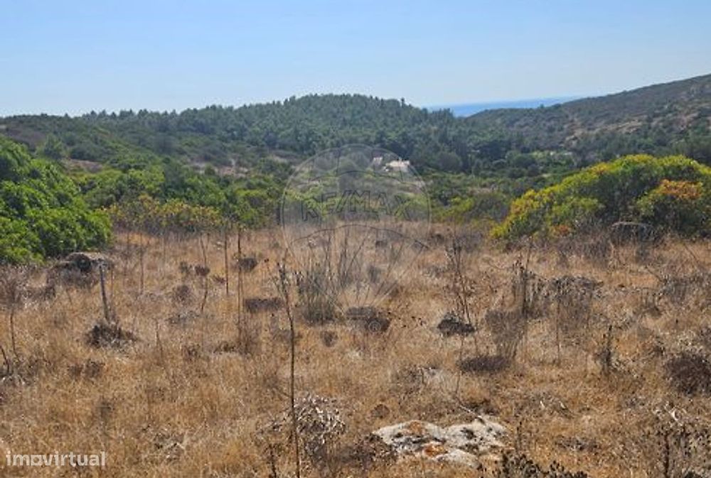 Terreno  para venda