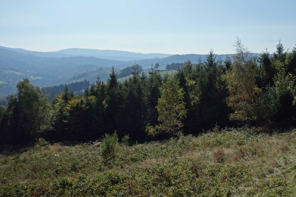 Brenna 2.53 ha z prawem zabudowy pod pensjonat i domki letniskowe - Widok 2