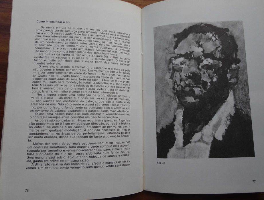 A Cor em Pintura de Hans Schwarz