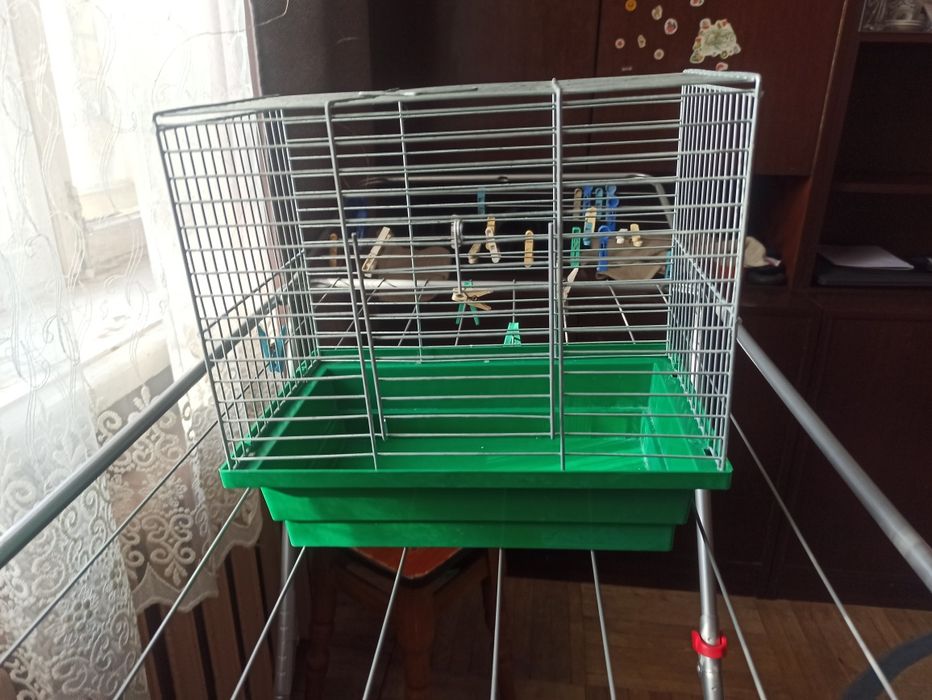 Клітка для маленьких тварин