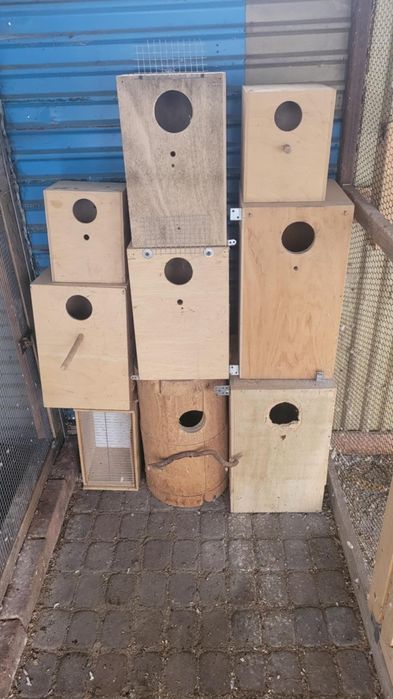 Budki lęgowe dla papug, rozella, aleksandretta, świergotka