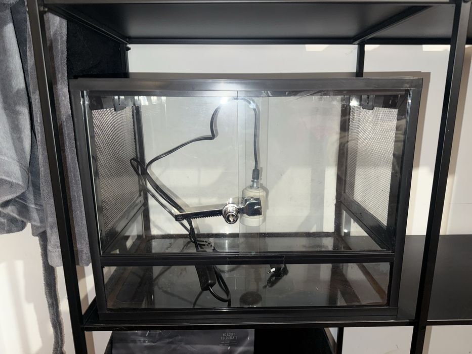 Terrário para Réptil – Como Novo