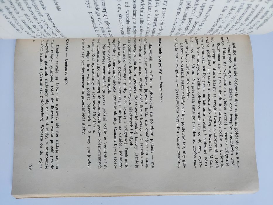 Uprawa roślin ozdobnych w POD - Izabela Kiljańska