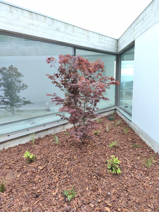 Garden Construction and Maintenance