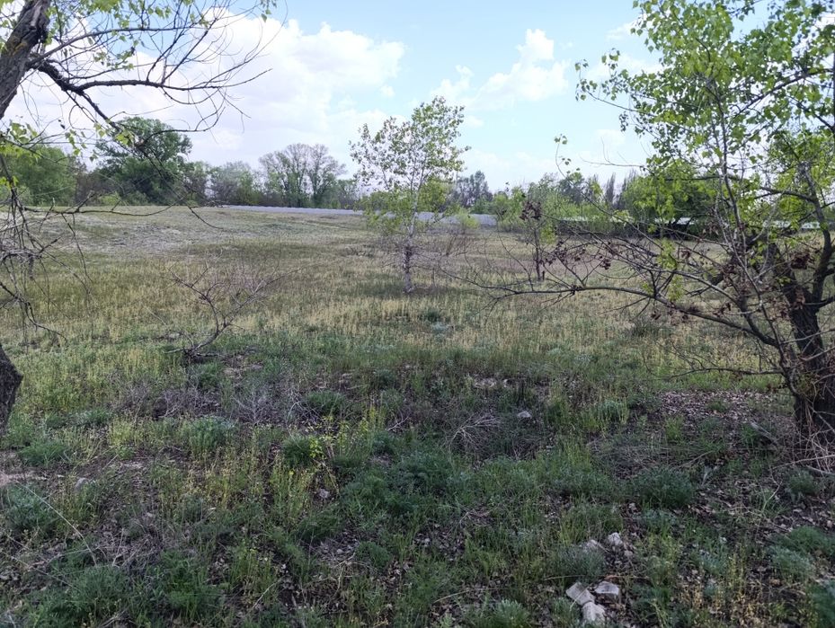 Продам. Земля. Участок. Каменское