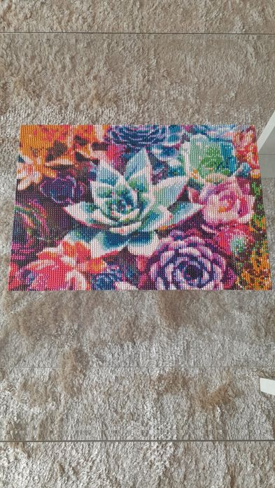 Tela de pintura de diamantes suculentas