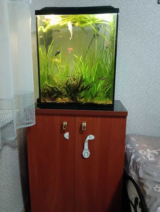 Продам акваріум об'ємом 90 літрів з усим обладнанням