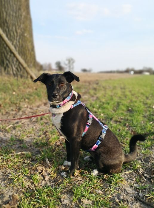 Zocha dla wyjątkowej osoby