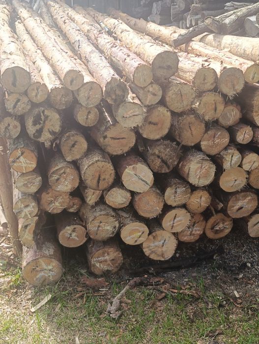 Stęple Budowlane Słupki ogrodzeniowe Nowe