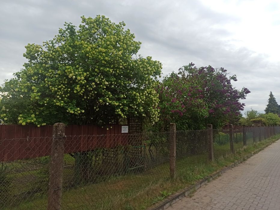 REZERWACJA Działka z domkiem przy jeziorze