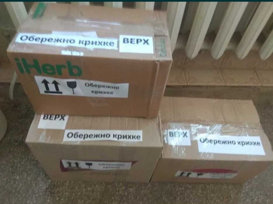 Яйця інкубаційні перепелині. Яйце. Яйце перепела