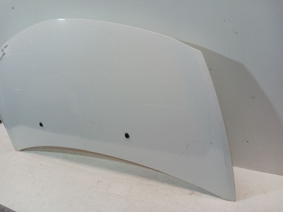 Capot RENAULT Clio III (BR0/1, CR0/1)
