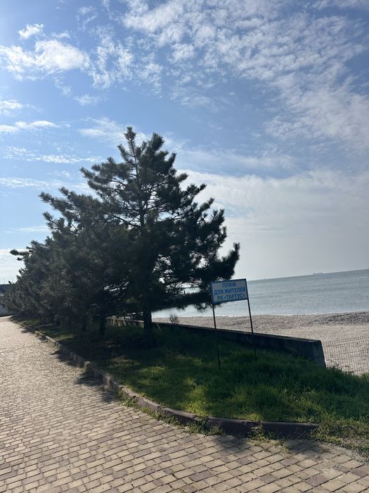 Дом у Моря Тартус Лески Сосновый Берег Бассейн