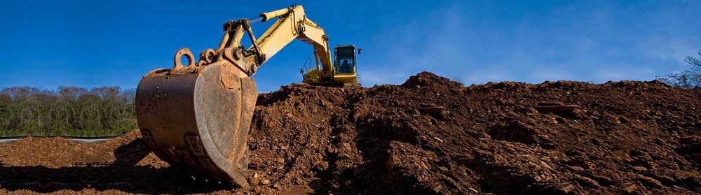 Ziemia ogrodowa, humus, czarnoziem