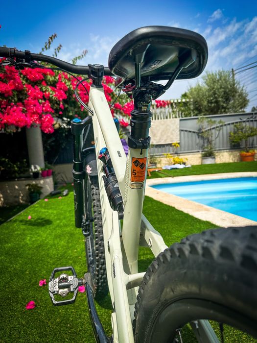 Canyon Torque Mullet 7