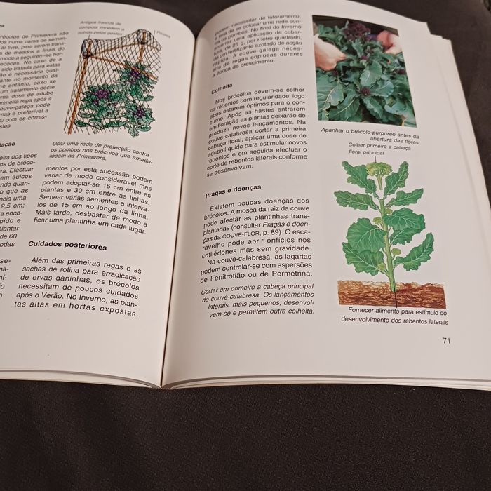 Livro Guia prático de horticultura64285578963971124
