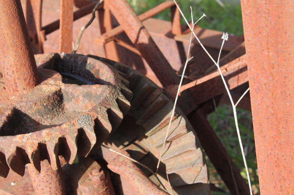 Vendo Nora para decoração