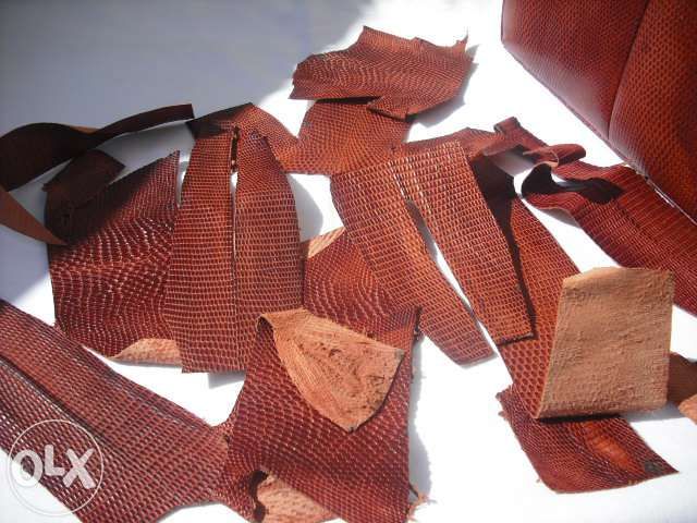 Mala Pele VINTAGE de lagarto mais bocados pele pª fazer sandálias