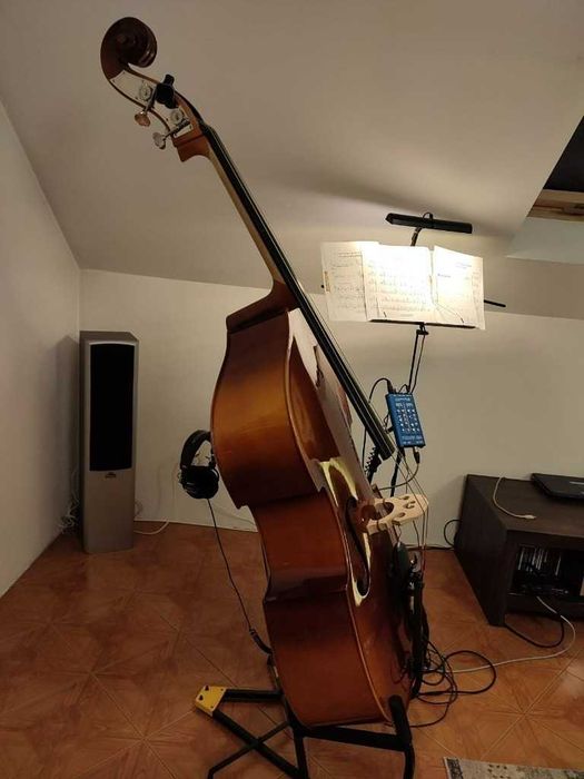 kontrabas thomann 33 masywny z osprzętem (Hora)