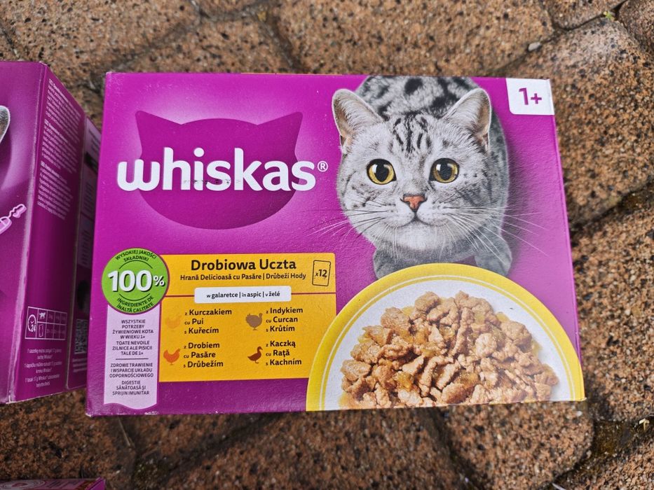 WHISKAS mokra karma dla kota - 6 opakowań po 12 szt