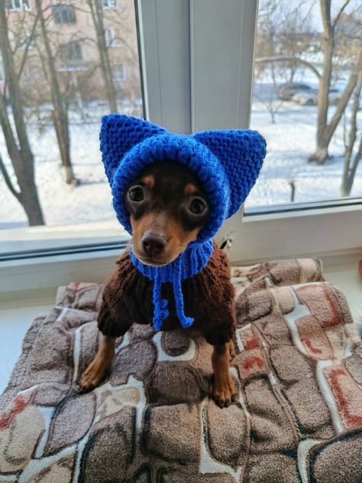 В'язані шапочки для собак невеликих порід
