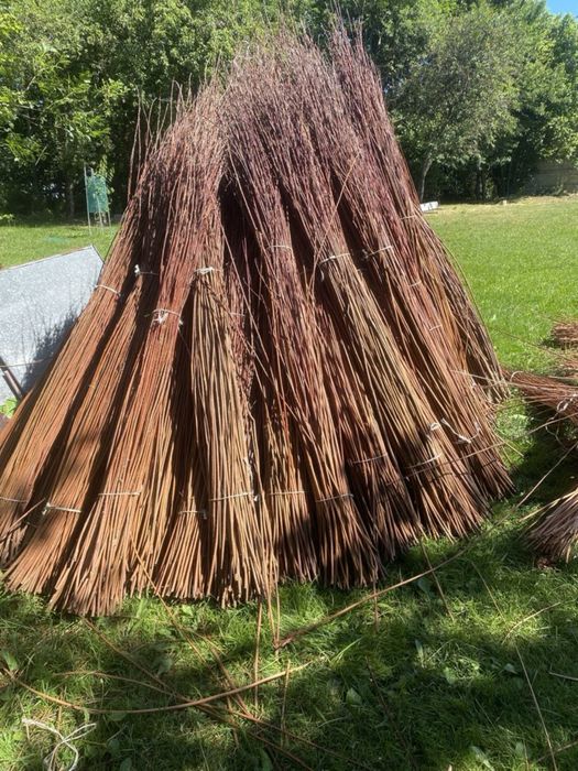 Wiklina korowana i nie korowana , różne długości
