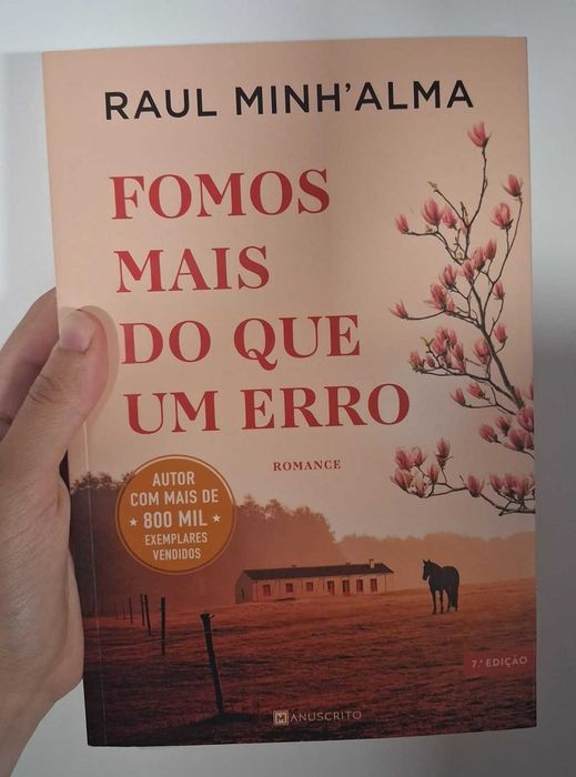 Fomos Mais do que um Erro - Raul Minh'alma