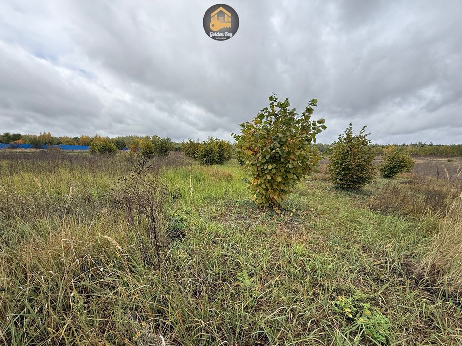 Продам 1.4га під садівництво, засаджено горіхами, бізнес, 40кмКиїв