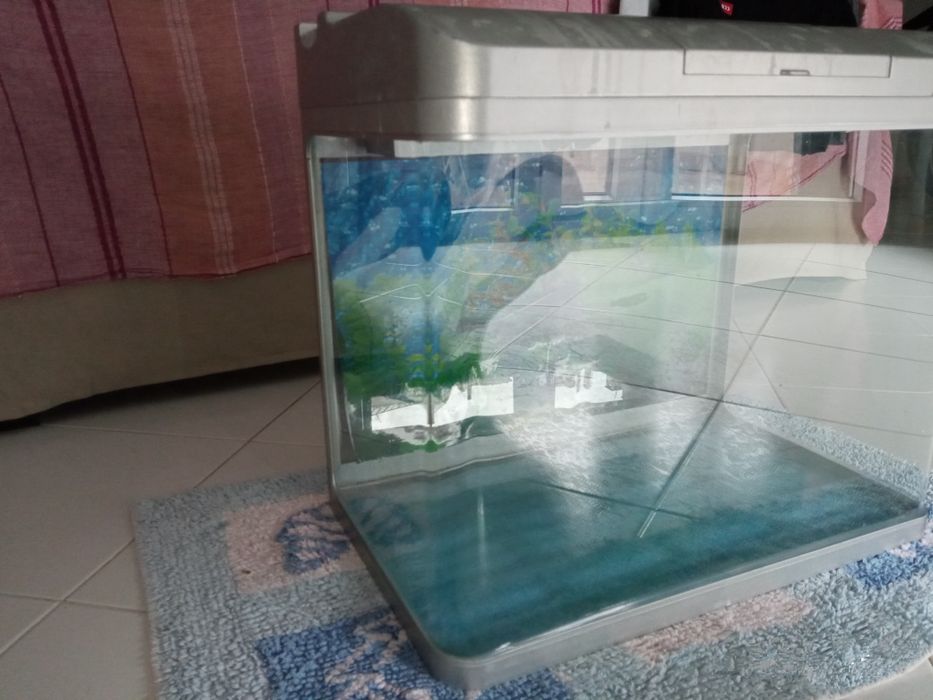 Aquário Alt. 45cm Lag. 50cm Prof. 30cm