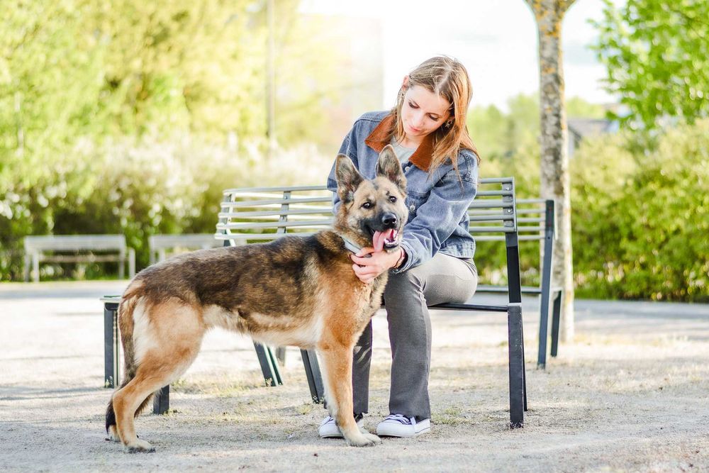 Śliwka wraca z adopcji.. czy musi wrócić do schroniskowego boksu..?