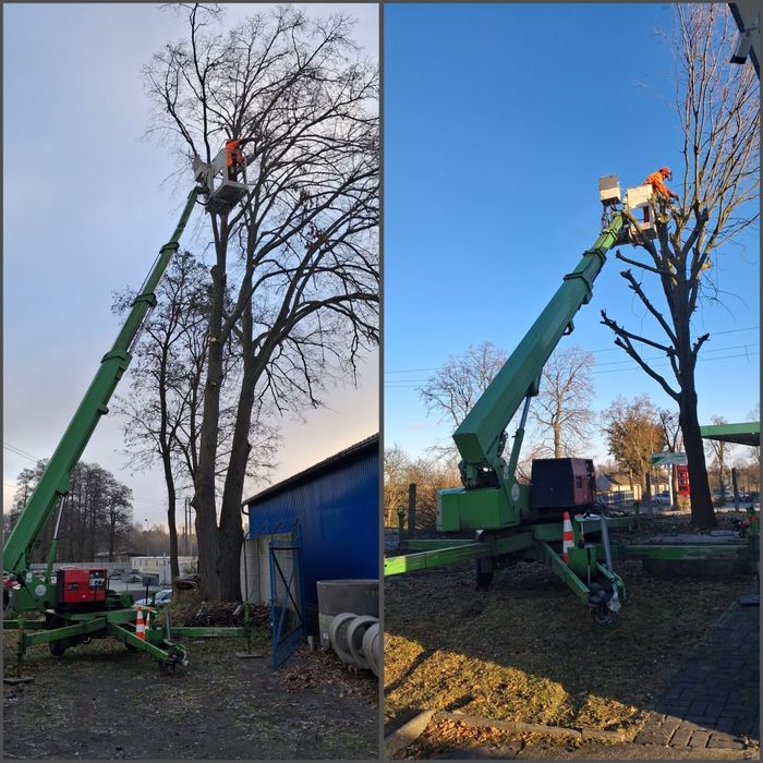Wycinka Drzew. Usługi Ogrodnicze. Transport drewna.