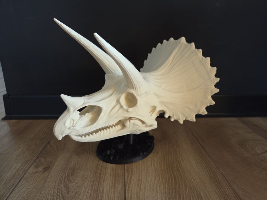 MEGA realistyczna CZASZKA TRICERATOPSA 3D 35cm – HIT!